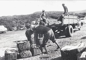 Gedenkboek kry 2de kans